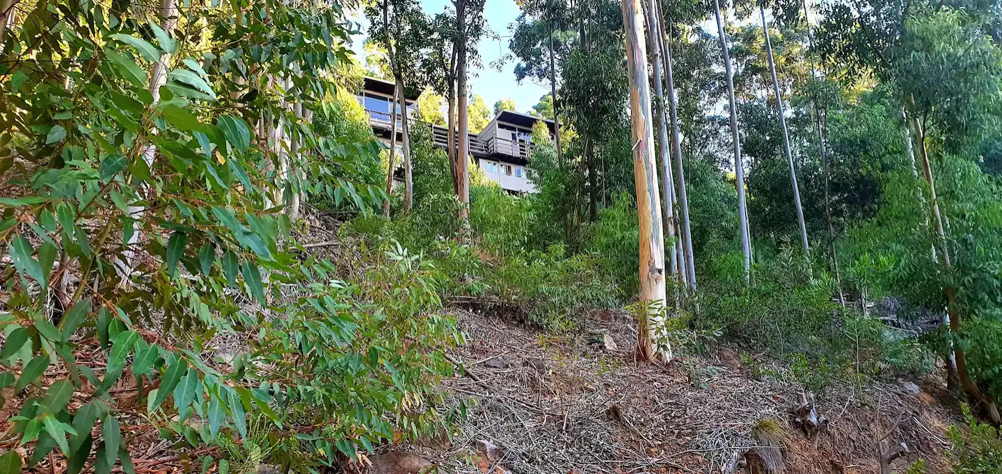 Cabin Accommodation in Cape Town