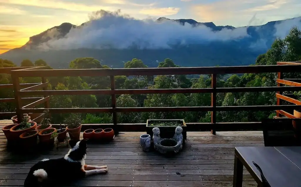 5ec07208 4348 40c7 a285 d288df902766 Cropped